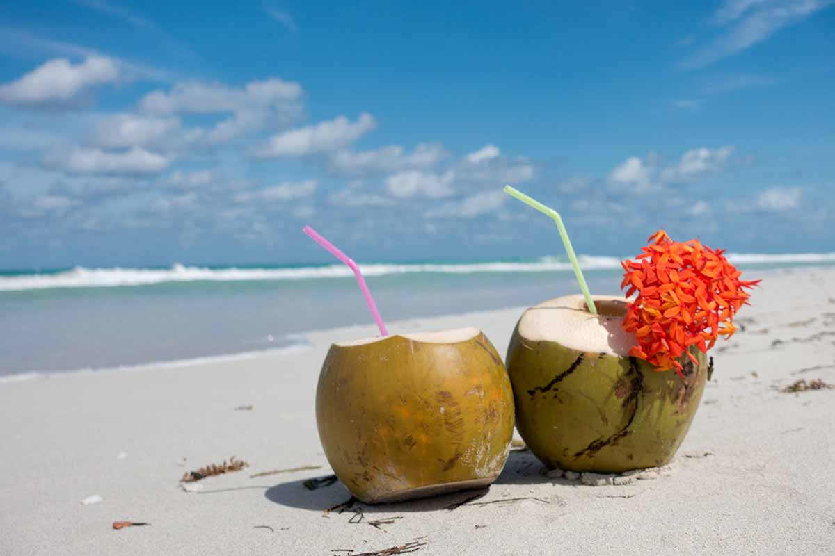 coconut water drink drinks sports