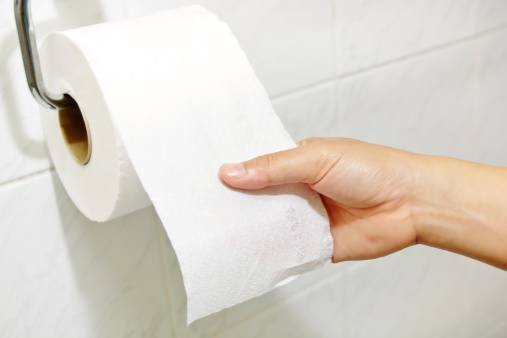 Image result for photo toilet paper