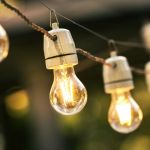 Dodo dangling lights