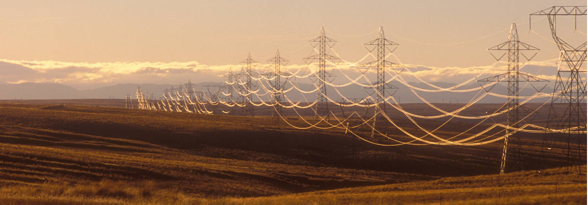 Rural pylons