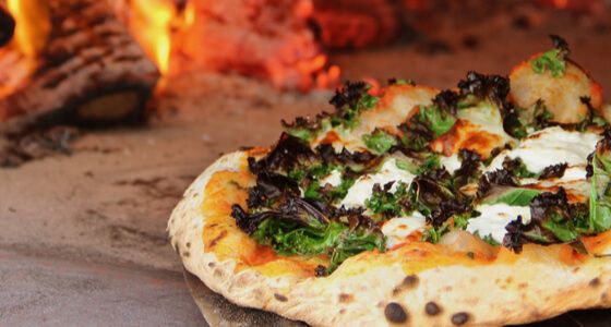 Best pizza ovens for homemade pizza