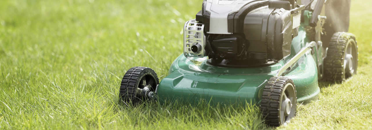 Bosch Lawn Mowers Brand Guide