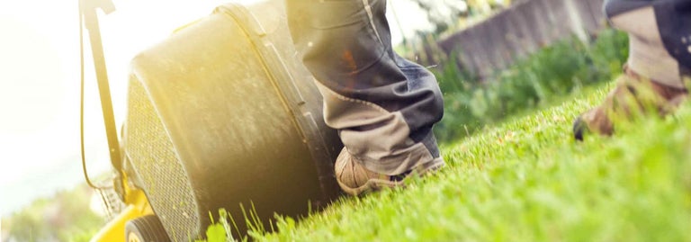 Masport lawn mowers Brand Guide