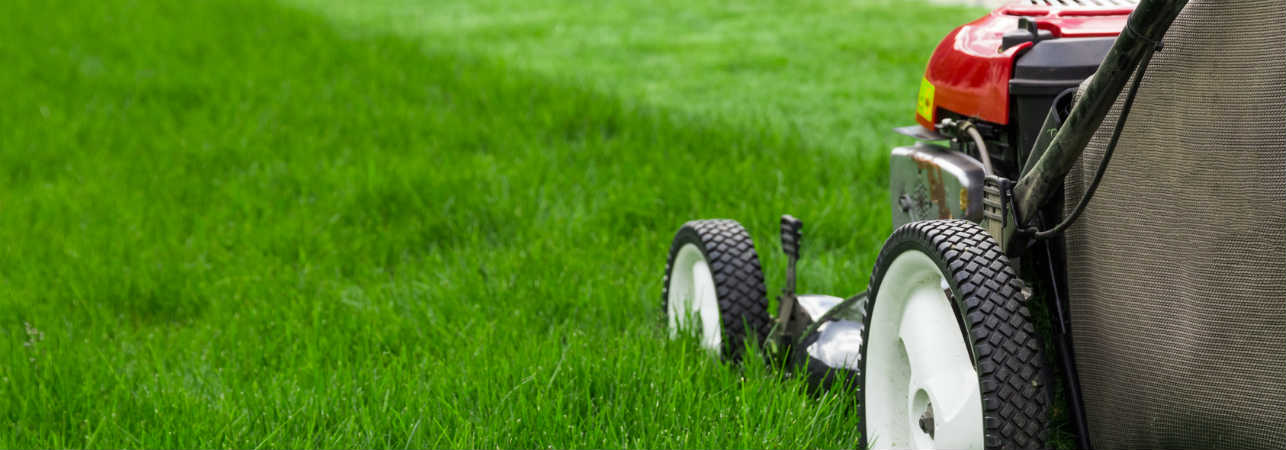 Rover lawn mower Brand Guide