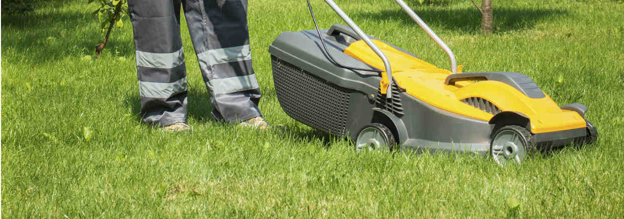 Ryobi lawn mowers Brand Guide