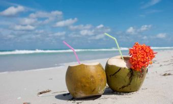 Coconut Drinks on Beach