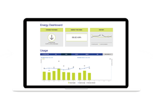 real time energy usage information