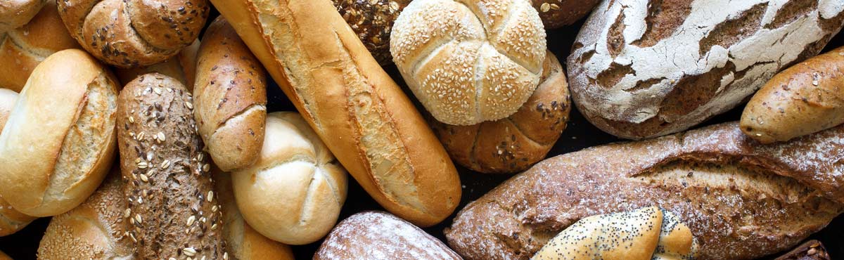 Bread Types Explained – Canstar Blue