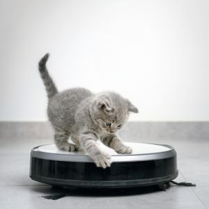 Vacuums for pet hair