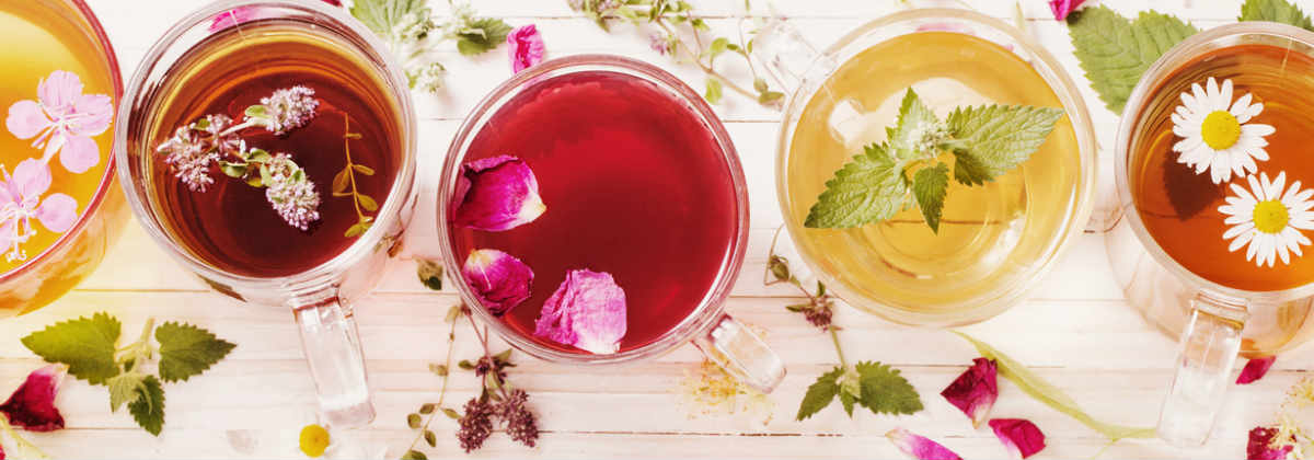 Can you really lose weight by drinking tea?