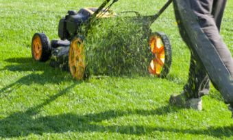 Mowing the lawn