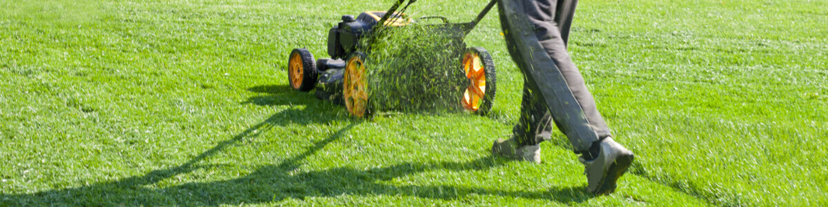 Mowing the lawn