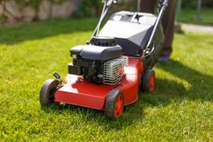 Lawn Mowers - Power