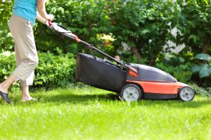 Lawn Mowers - Usability