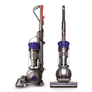 Dyson Ball Animal