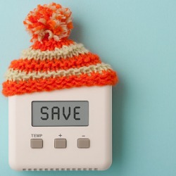 Thermostat Wooly Hat