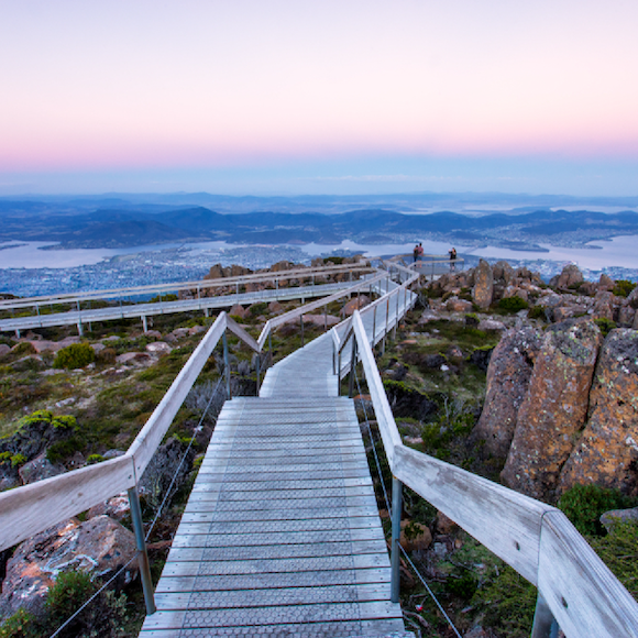 tassie