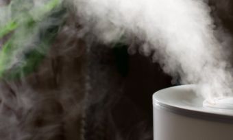 Humidifier Buying Guide