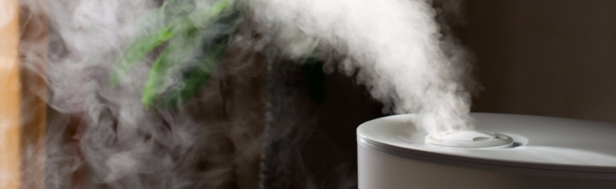 Humidifier Buying Guide