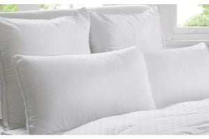 Sheridan Polyester Pillows