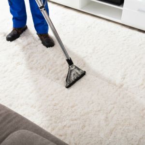 Carpet Shampooer Carpet Cleaner