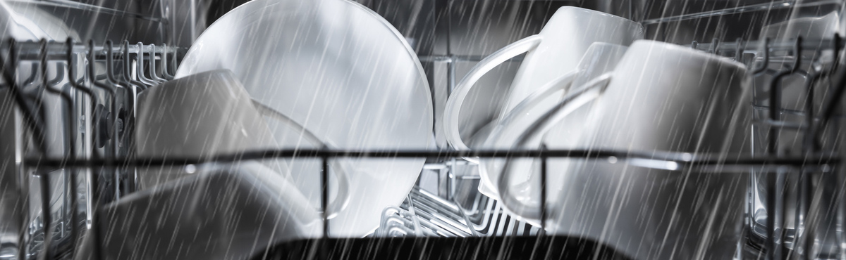 Benchtop dishwasher best sale reviews