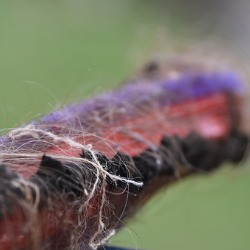 hair and dirt stuck in vacuum