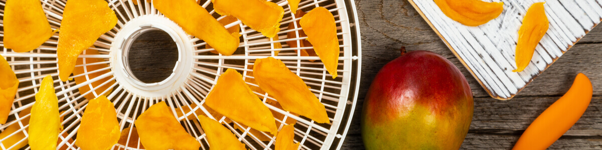 Best store dehydrator 2021