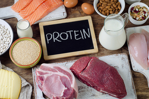 Examples of Protein