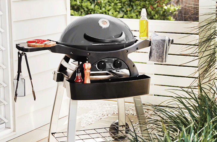 Ziegler & Brown 2-Burner BBQs