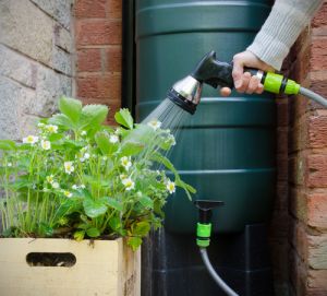 Water Tanks Suitability