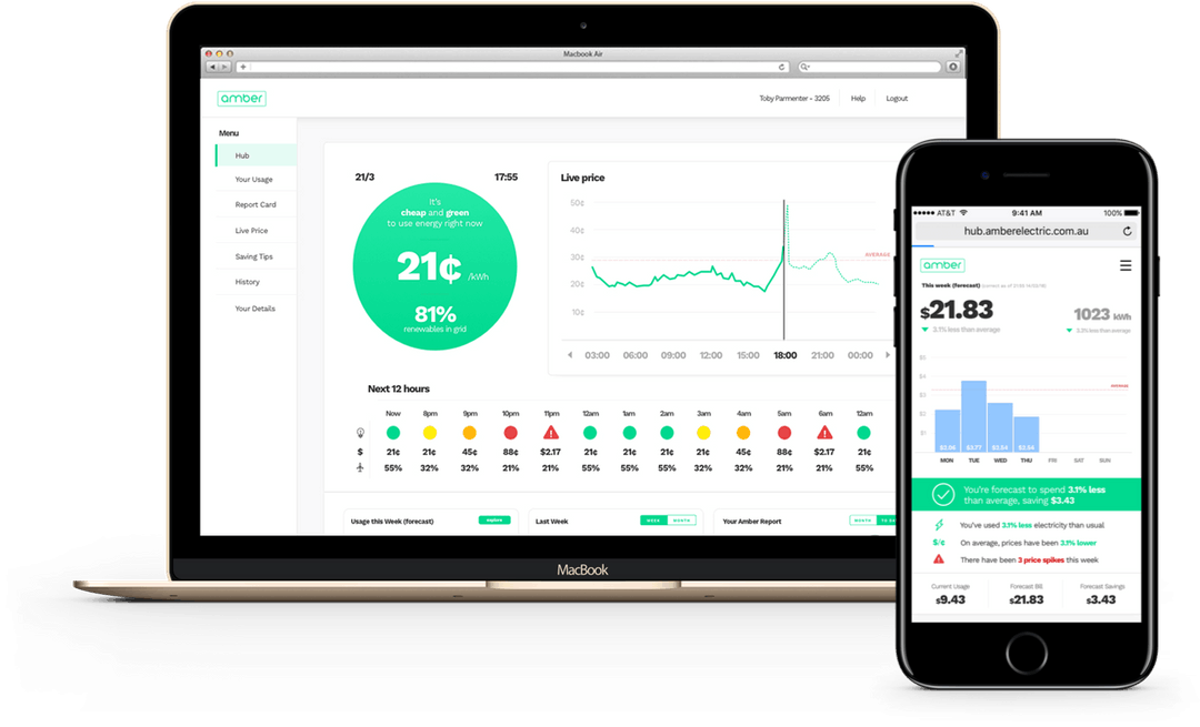 Amber Electricity Plans & Benefits Canstar Blue