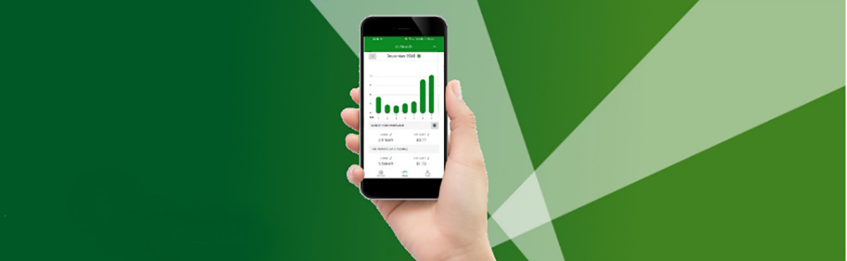 EnergyAustralia App Reviewed