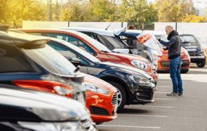 Man choosing new car