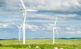 Wind turbines in field on farm