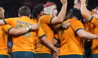 wallabies world cup 2023