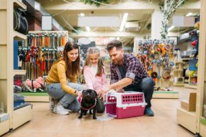 buying supplies for little puppy