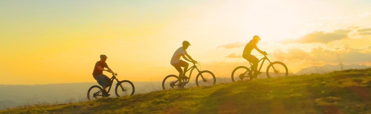 E Bike Brands in Australia Review Guide Canstar Blue