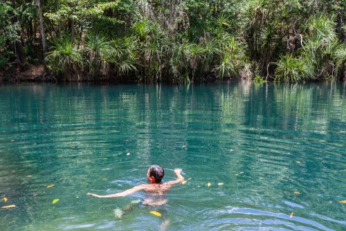 Man swimming in water hole