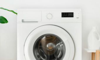 washing machine laundry room plant