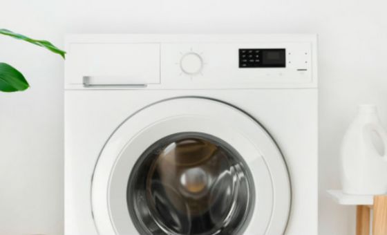 washing machine laundry room plant