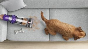 Dyson stick vacuums V10