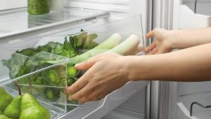 fisher & paykel vegetable crisper