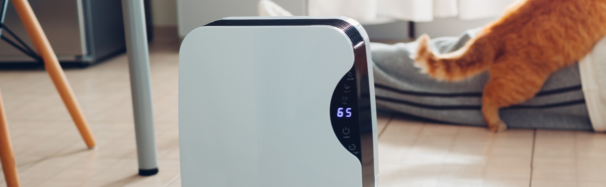 Dehumidifiers Buying Guide Features & Prices Canstar Blue