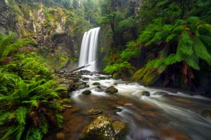 Great Otway National Park