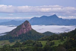 Australia's Green Cauldron