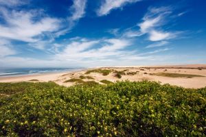 Stockton Bight Sand Dunes