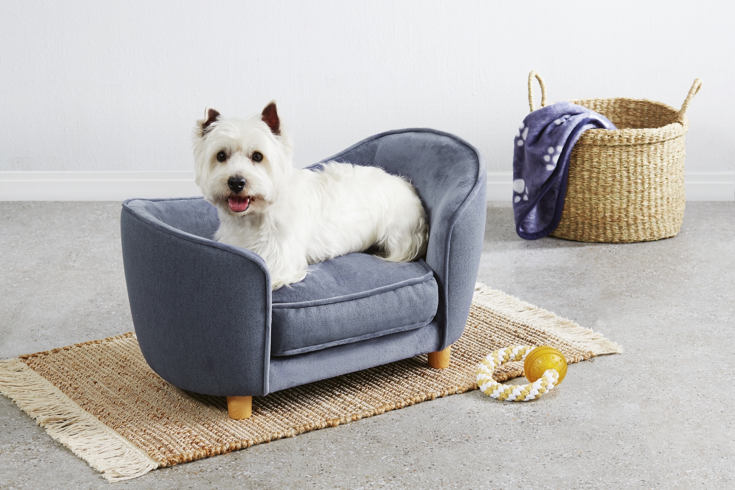 aldi dog pram