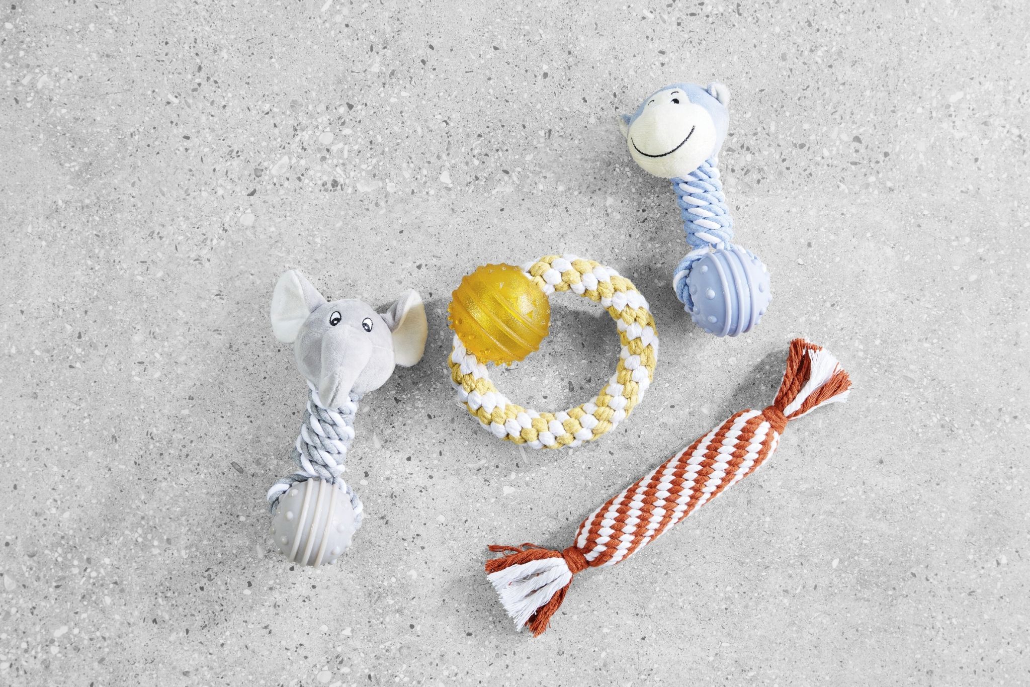 ALDI’s Pampered Pets Special Buys are Back with Tiny Sofas for Your Dog