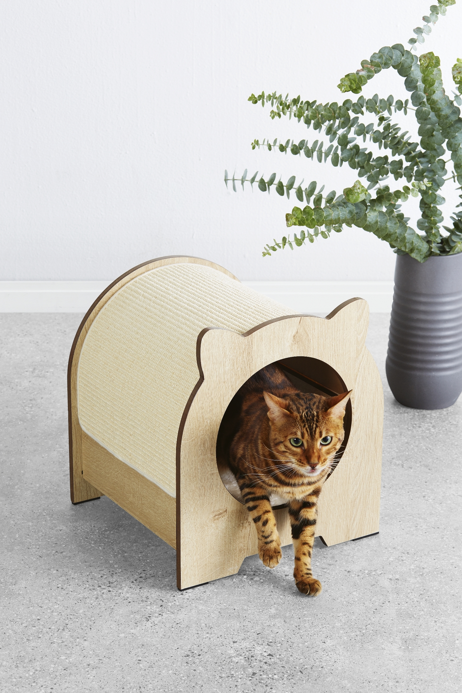 ALDI’s Pampered Pets Special Buys are Back with Tiny Sofas for Your Dog